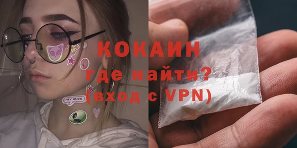 стаф Алзамай