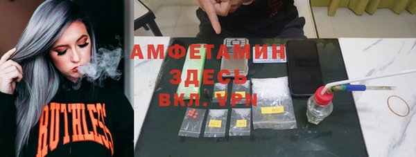 стаф Алзамай