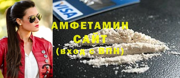 стаф Алзамай