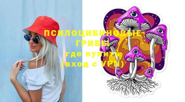 дживик Надым