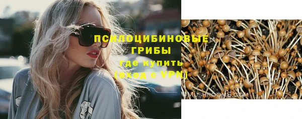 стаф Алзамай