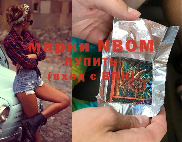 стаф Алзамай