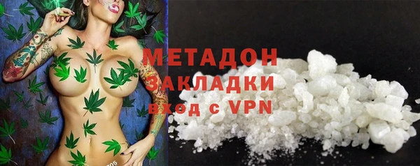 стаф Алзамай