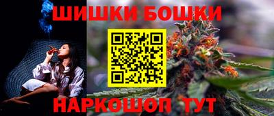 спиды Кингисепп