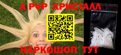 спиды Кингисепп