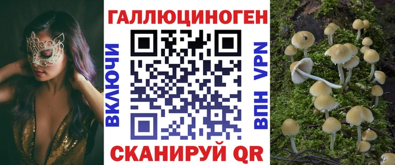 Псилоцибиновые грибы мицелий  гидра ТОР  Дзержинск 