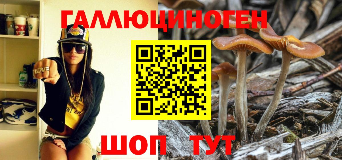 Псилоцибиновые грибы Cubensis  Псилоцибиновые грибы Psilocybe  цены наркотик  Дзержинск  Вход с VPN 