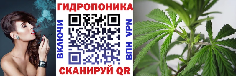 Конопля White Widow  хочу наркоту  Дзержинск 